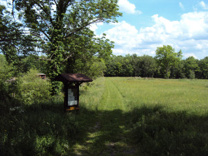 DSC00207