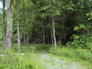 DSC00210