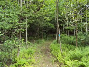 DSC00216