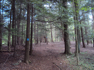 DSC00218