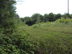 DSC00223