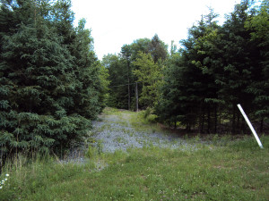 DSC00224