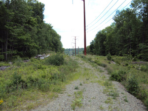 DSC00226