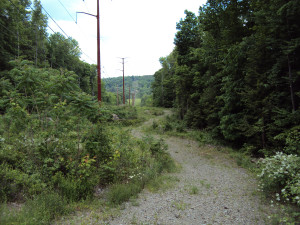 DSC00228