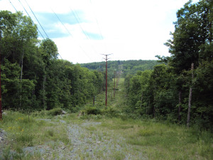DSC00230