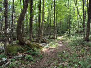 DSC00240