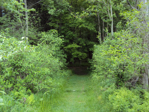 DSC00258