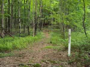 DSC00260
