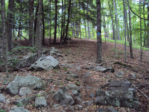 DSC00263