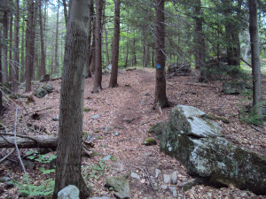 DSC00280